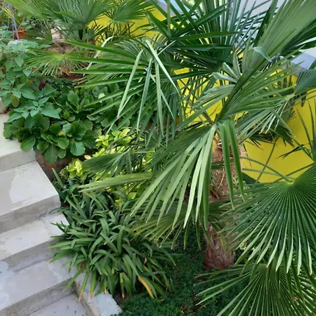 Apartament La Catedral Sveti Petar (Zadar)